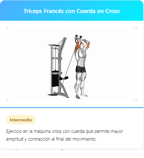 Triceps